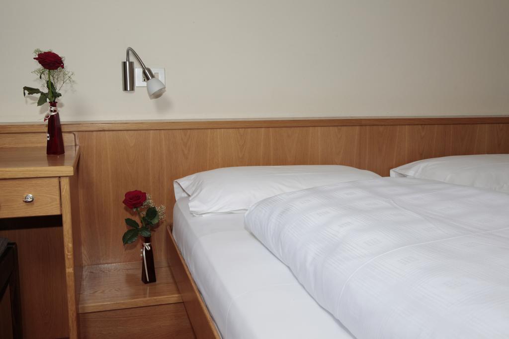 Hotel Alpino Plan Selva di Val Gardena Ngoại thất bức ảnh